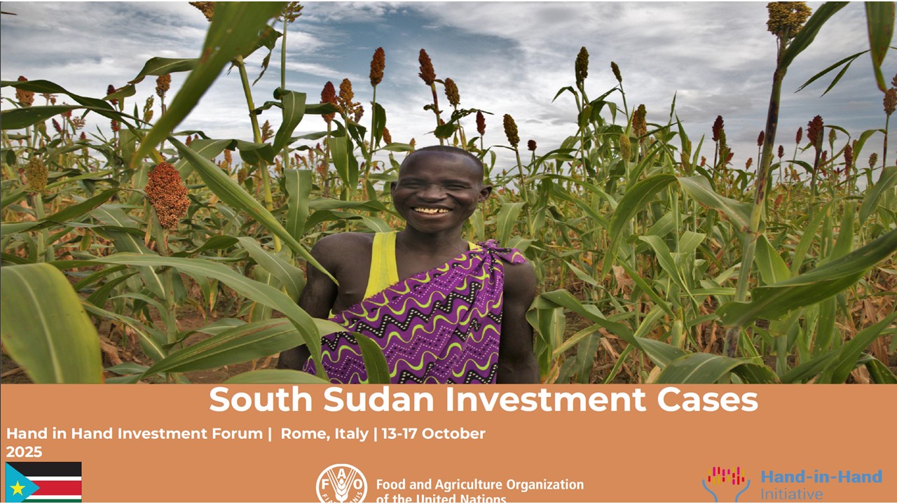 South Sudan landscape